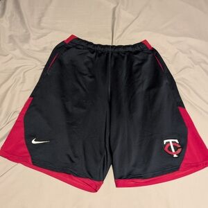 Nike Dri-Fit Twins Shorts